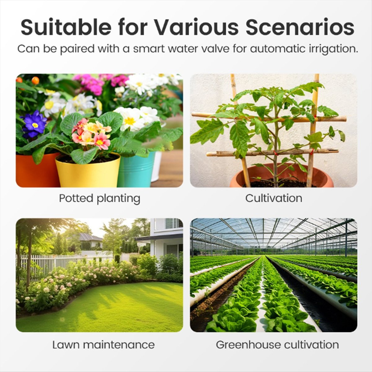 Smart Garden Zigbee - เครื่องวัดความชื้นในดินอัจฉริยะ ABJA Tuya Zigbee พร้อมเซ็นเซอร์วัดอุณหภูมิและความชื้น ควบคุมผ่านแอปพลิเคชันบนมือถือ