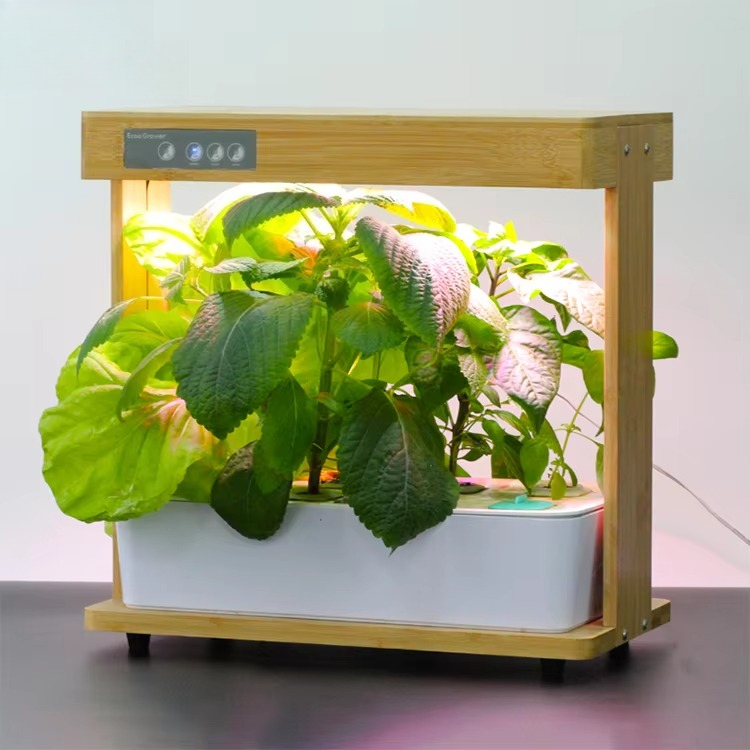 ระบบปลูกผักไฮโดรโปนิกส์ในบ้าน  - Smart Pod Garden บทวิจารณ์และราคา