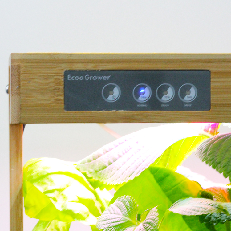 ระบบปลูกผักไฮโดรโปนิกส์ในบ้าน  - Smart Pod Garden บทวิจารณ์และราคา