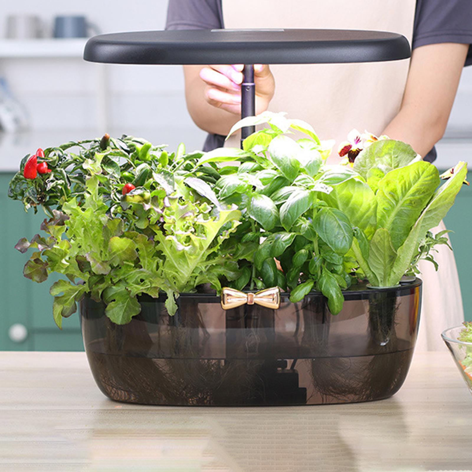 เครื่องปลูกพืชไฮโดรโปนิกส์แบบพ - Smart Pod Garden บทวิจารณ์และราคา
