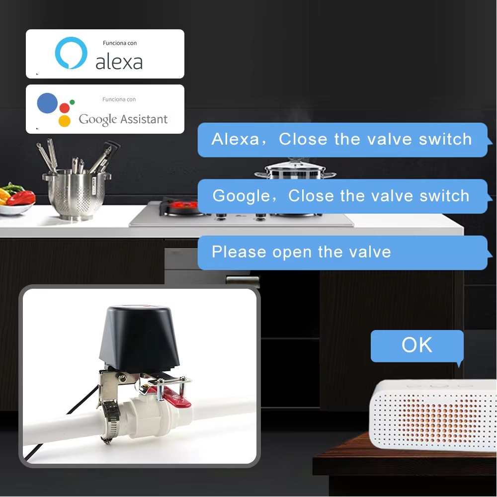 Tuya Zigbee หรือ Wifi วาล์วน้ํ - Smart Garden Zigbee บทวิจารณ์และราคา
