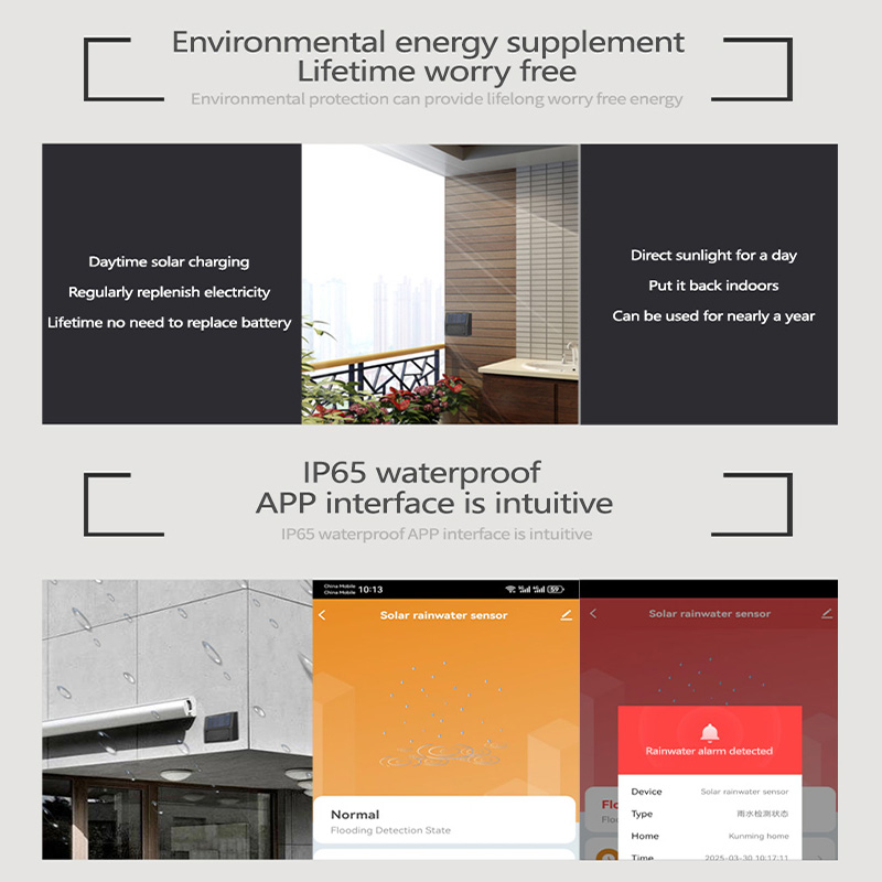 Tuya Zigbee Rain Sensor การแจ้ - Smart Garden Home Assistant บทวิจารณ์และราคา