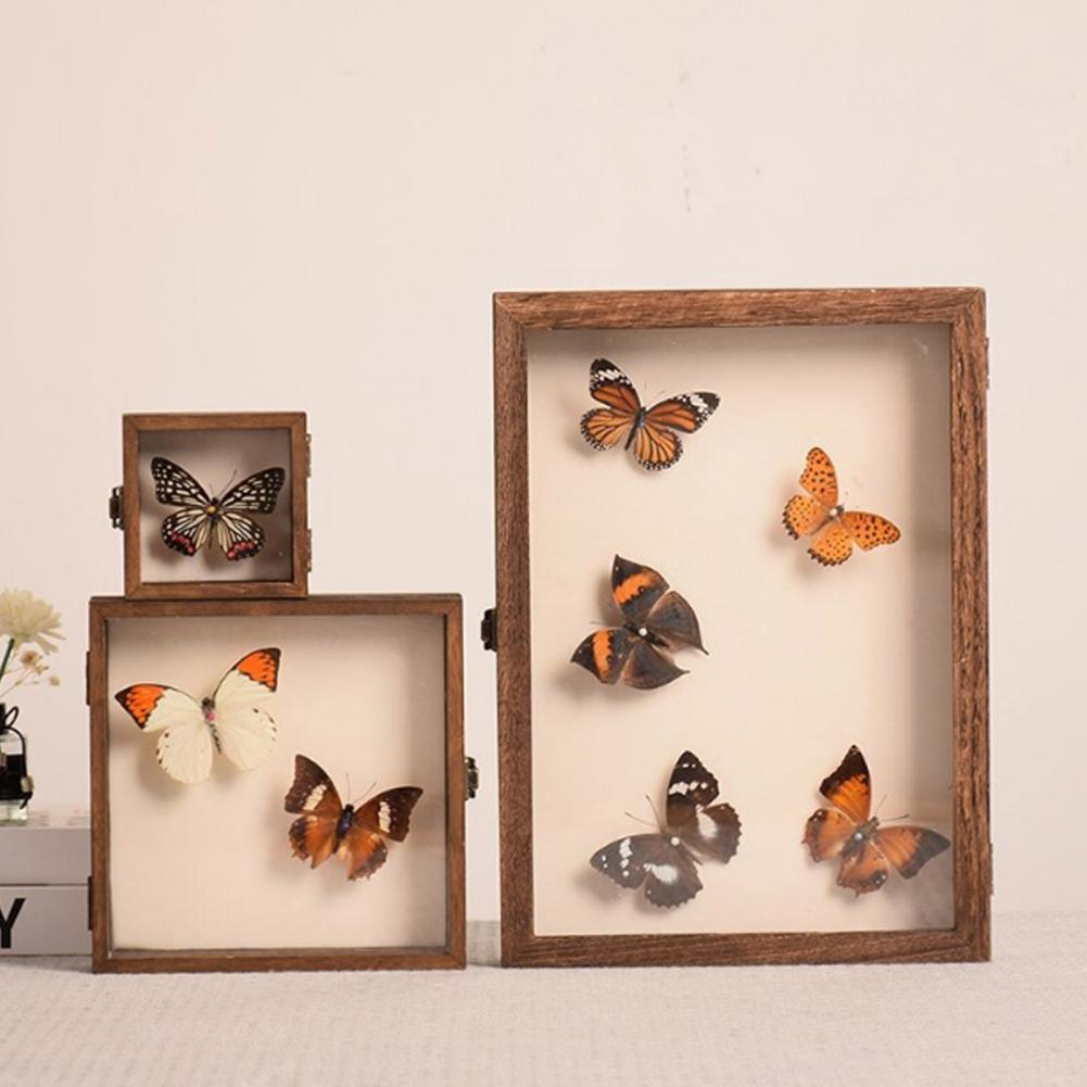 กล่องแสดงไม้กล่องเงาผีเสื้อหลา - Insect Hotel Wood บทวิจารณ์และราคา