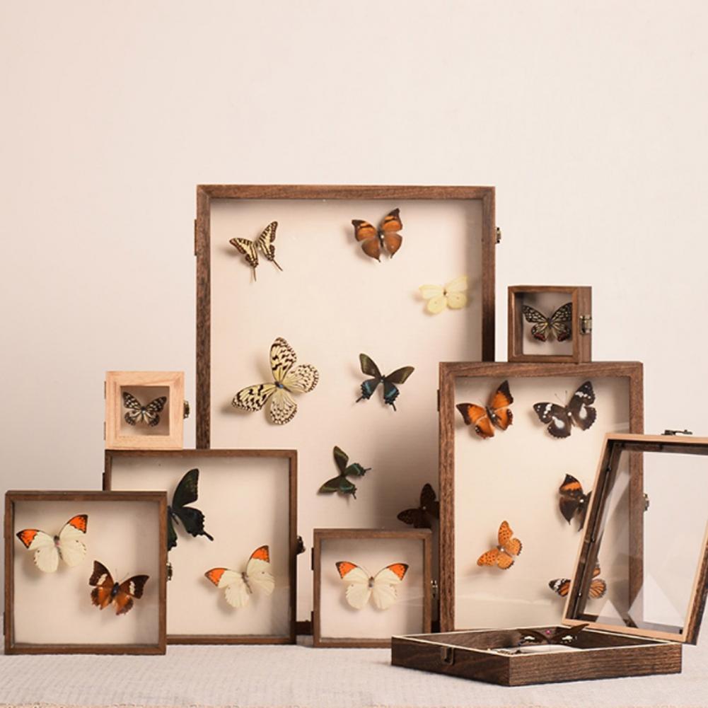 กล่องแสดงไม้กล่องเงาผีเสื้อหลา - Insect Hotel Wood บทวิจารณ์และราคา