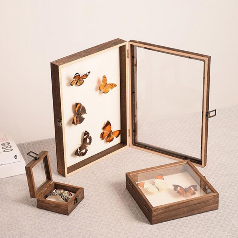 กล่องแสดงไม้กล่องเงาผีเสื้อหลา - Insect Hotel Wood บทวิจารณ์และราคา