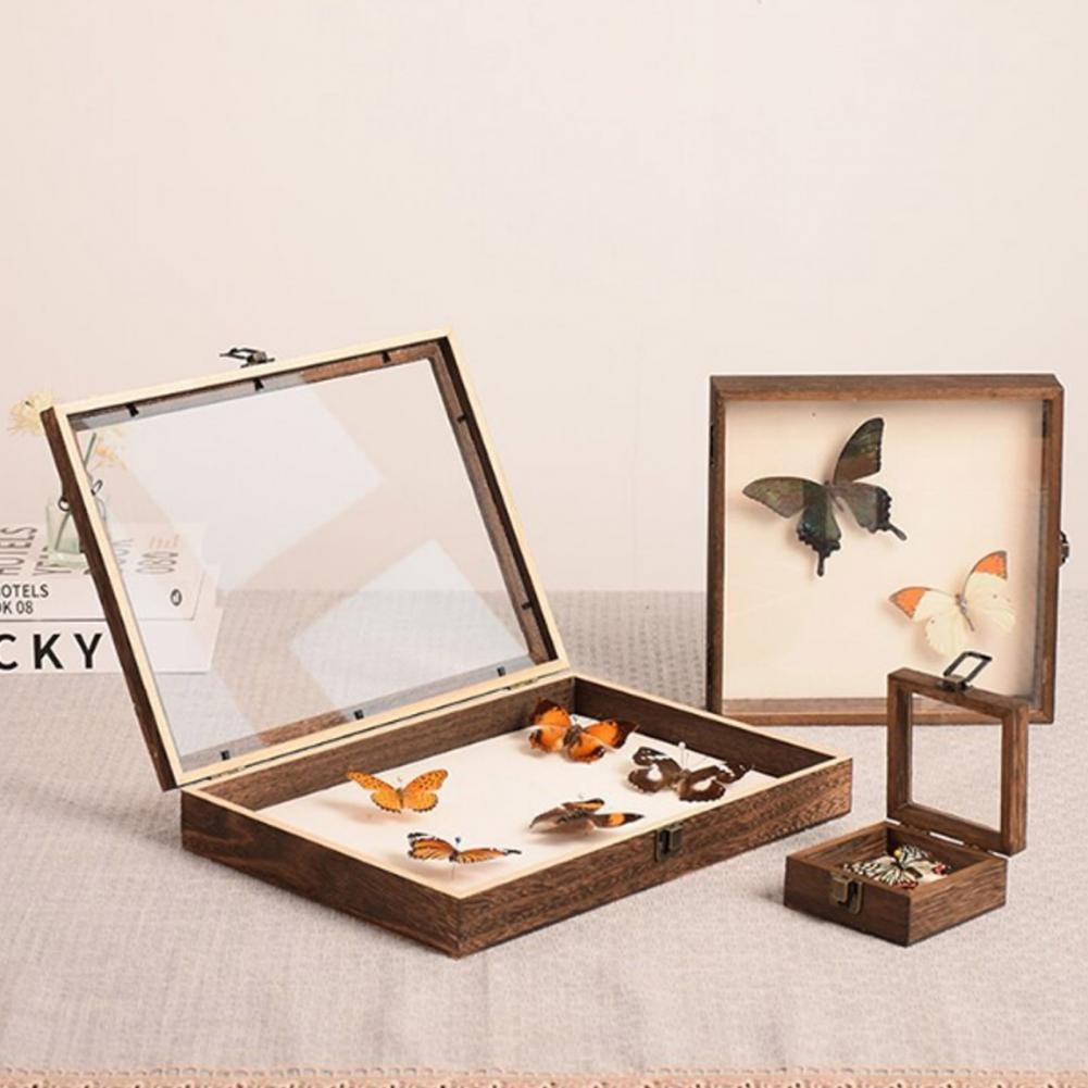 กล่องแสดงไม้กล่องเงาผีเสื้อหลา - Insect Hotel Wood บทวิจารณ์และราคา