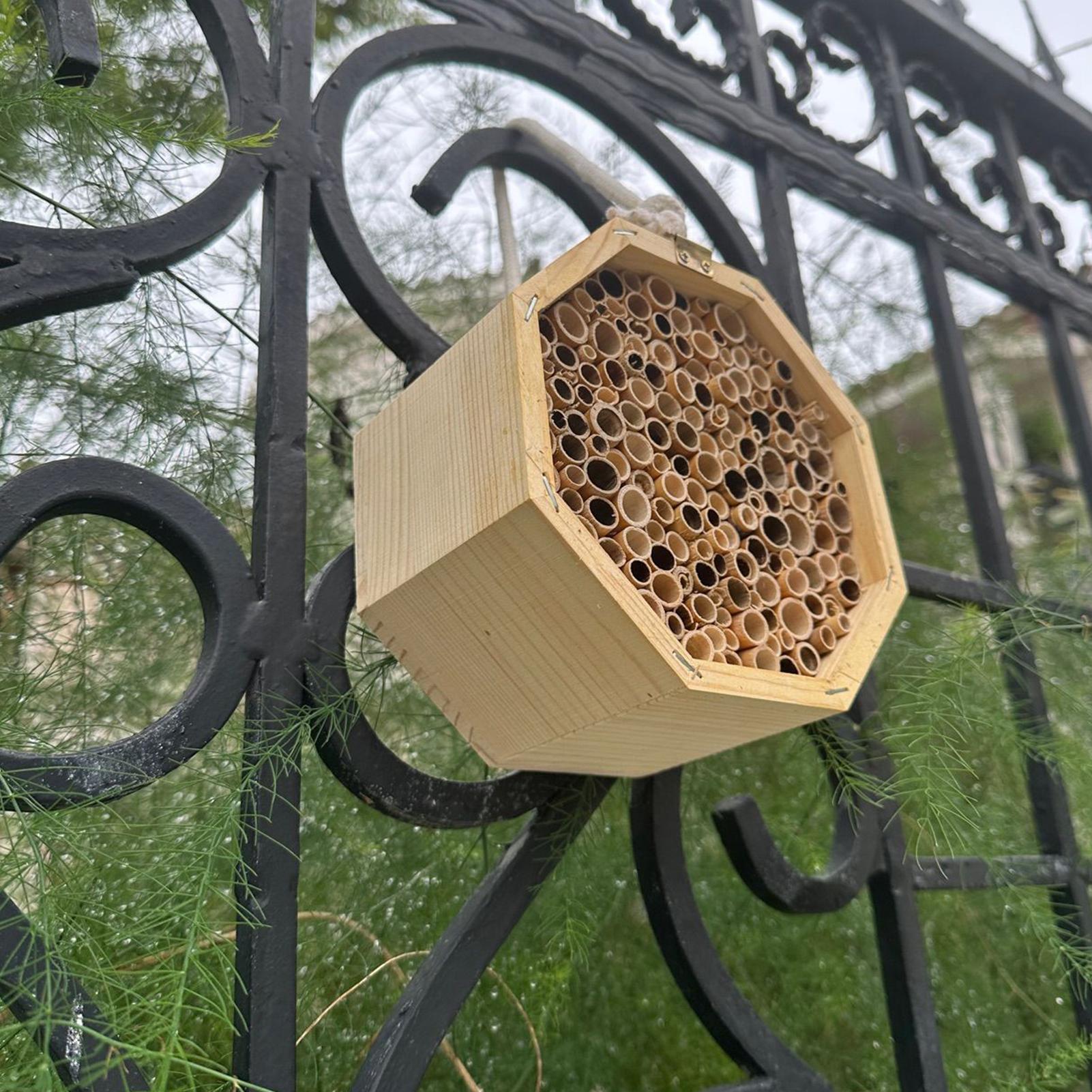 บ้านแมลงไม้ กล่องรังผึ้งไม้ โร - Insect Hotel Wood บทวิจารณ์และราคา
