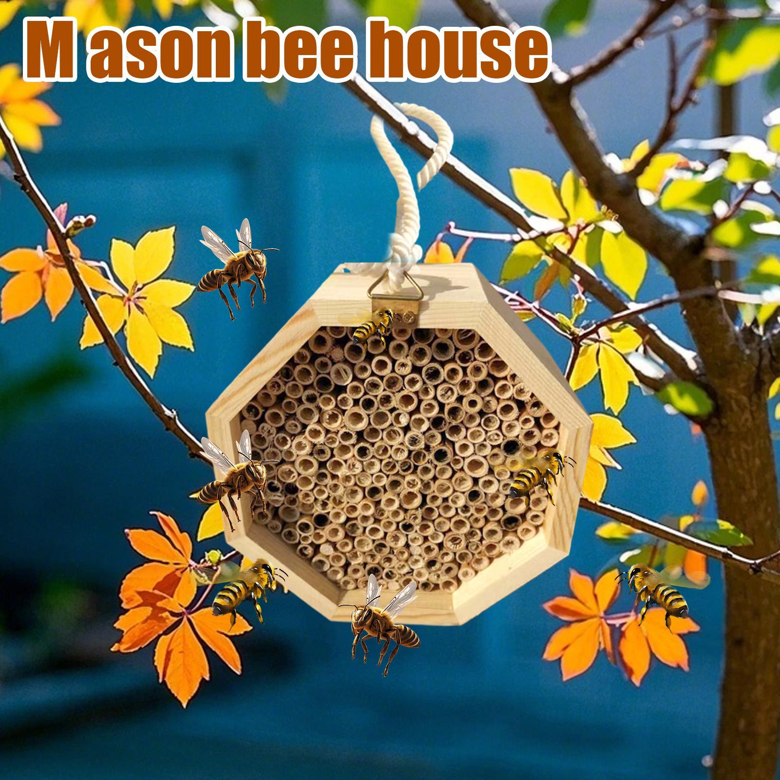 บ้านแมลงไม้ กล่องรังผึ้งไม้ โร - Insect Hotel Wood บทวิจารณ์และราคา