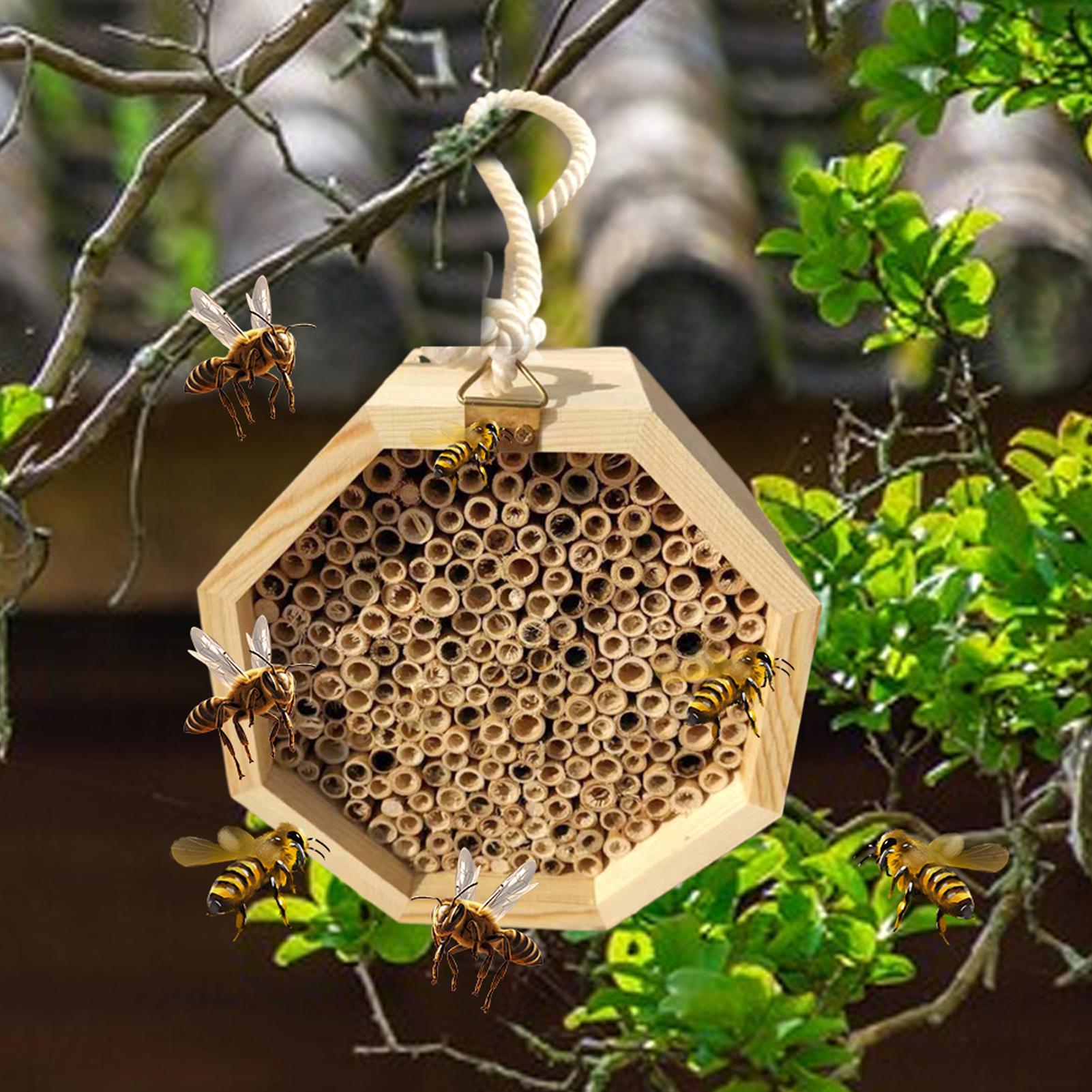 บ้านแมลงไม้ กล่องรังผึ้งไม้ โร - Insect Hotel Wood บทวิจารณ์และราคา