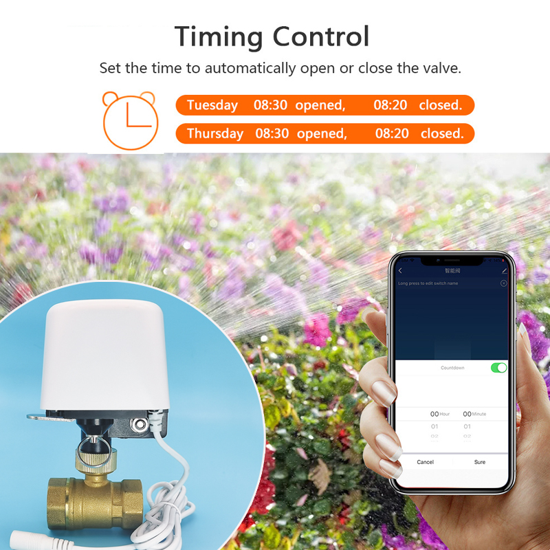 วาล์วน้ำอัตโนมัติ Wifi Zigbee  - Smart Garden Home Assistant บทวิจารณ์และราคา
