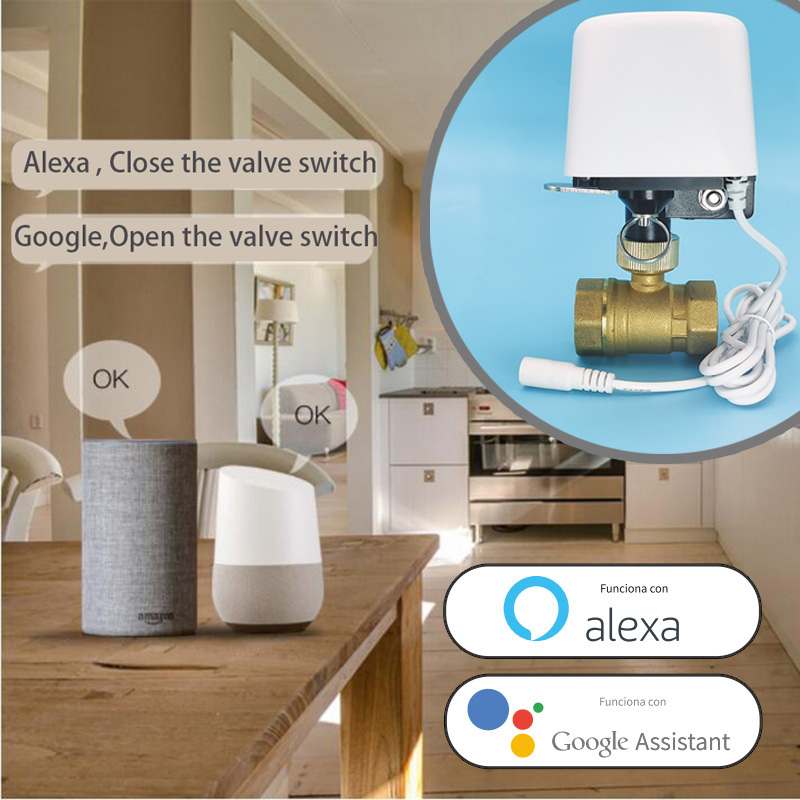 วาล์วน้ำอัตโนมัติ Wifi Zigbee  - Smart Garden Home Assistant บทวิจารณ์และราคา