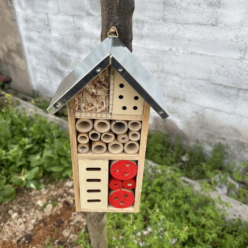 บ้านแมลง แมลงไม้โรงแรมที่อยู่อ - Insect Hotel Wood บทวิจารณ์และราคา