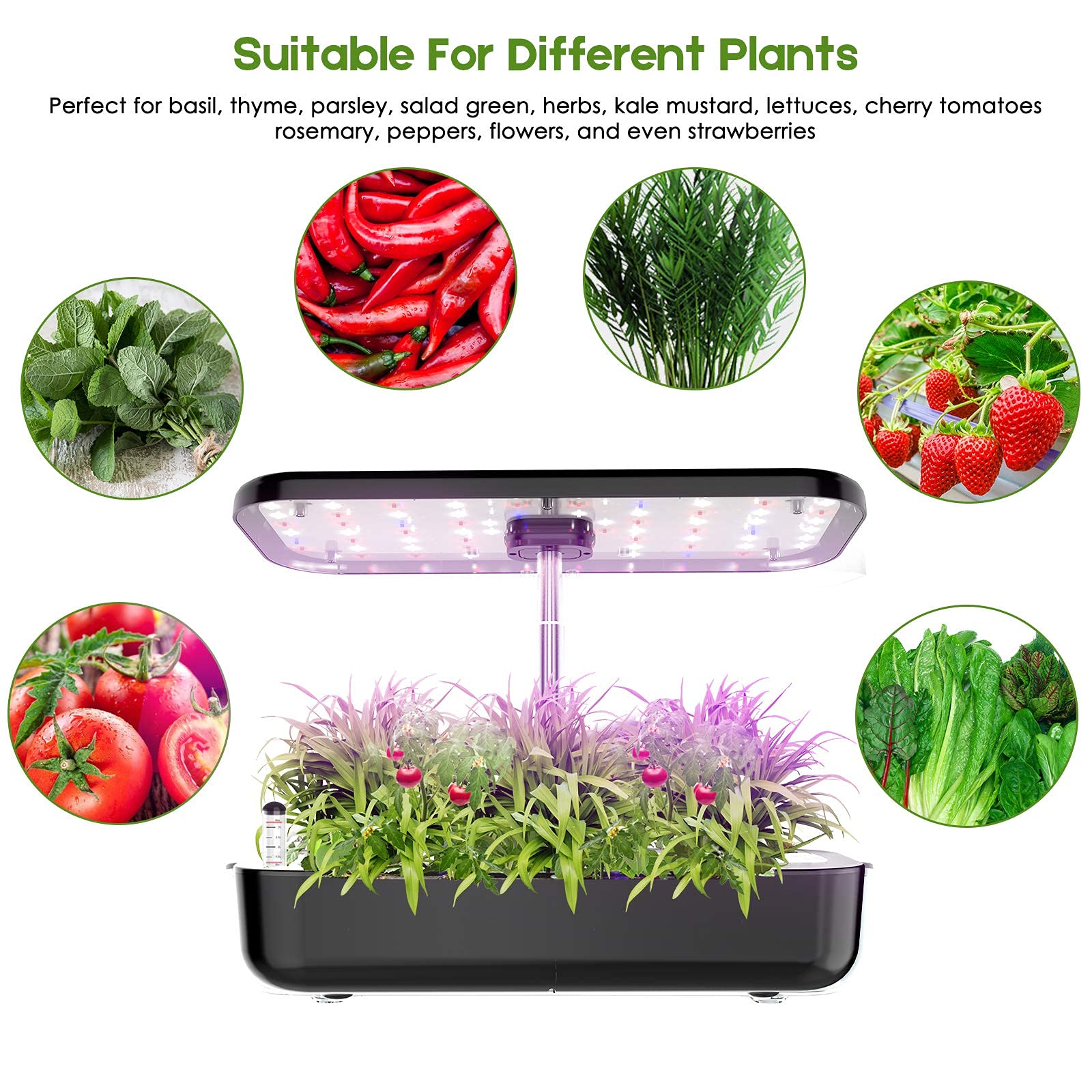 ระบบปลูกไฮโดรโปนิกส์ 12 Pods I - Smart Pod Garden บทวิจารณ์และราคา