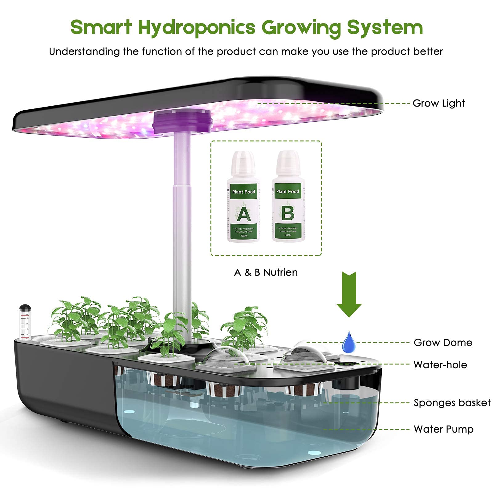ระบบปลูกไฮโดรโปนิกส์ 12 Pods I - Smart Pod Garden บทวิจารณ์และราคา